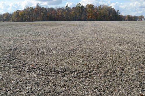 Property photo 12 - 75.3 Acres Offered in 2 Tracts